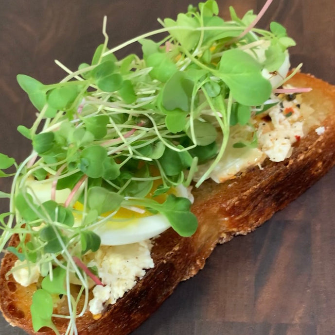 Lemon Baked Feta with Jammy Egg and Spicy Mix Microgreens