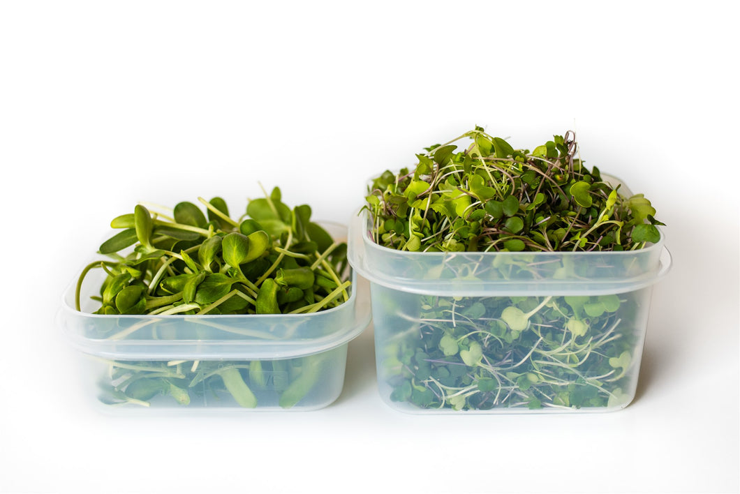Microgreens Club (Trial Delivery)